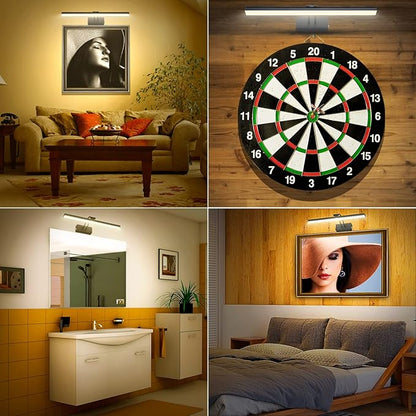 FUNCHDAY Picture Light,3CCT Battery Art Lights for Wall,Wireless Remote Painting Light with Timer and Dimmable,16”Metal Display Lighting for Artwork,Portrait,Gallery (Black-L)