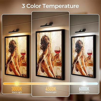 Picture Lights for Wall, Battery Operated Picture Light 16in Gallery Light for Paintings CCT Dimmable Recharging Battery Wall Light with Remote Control for Living Room Gallery Dartboard Art Bathroom