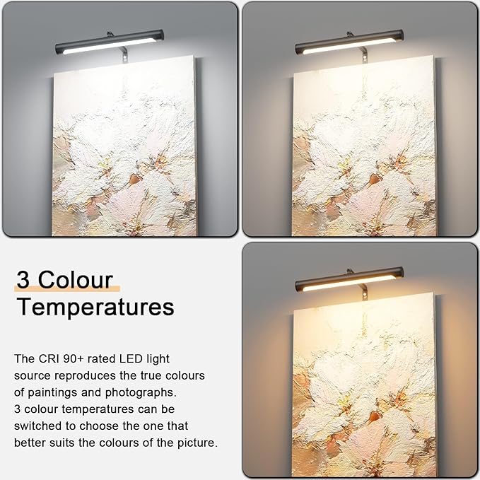 4W Picture Light Plug in, 12
