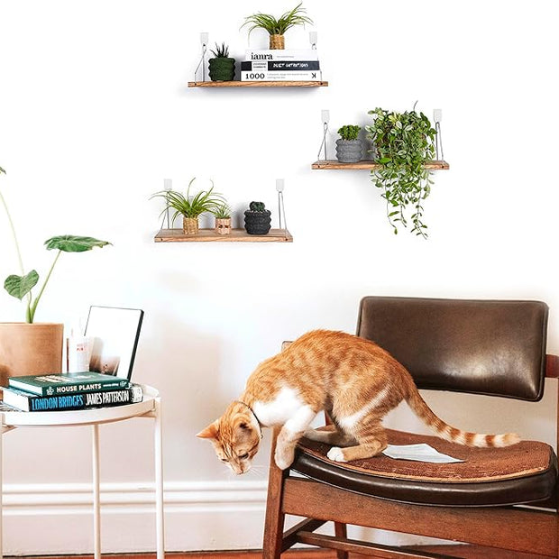 MITIME Floating Shelves Set of 3 Rustic Solid Wood Floating Shelf Wall Storage Shelves for Living Room, Bedroom, Bathroom, Kitchen Laundry, Office,no Drill Shelf(Light Color L+L+L)