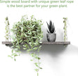 MITIME Leaf Rope Hanging Floating Shelves, Wall Swing Storage Shelf for Home Decor.17, 2-Pack (Retro Color)