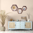 PHOENANCEE Hexagon Floating Shelves,Honeycomb Shelf Set of 3,Wood Farmhouse Hexagonal Decor Wall Storage for Living Room Bedroom Kitchen Office(Walnut)
