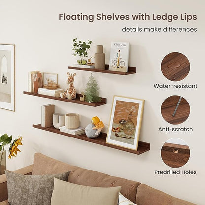 Axeman Picture Ledge Shelf | 24 Inch Walnut Floating Shelves Set of 3 | Rustic Wood Wall Shelves with Lip | 24" Walnut Picture Shelf for Wall with Ledge | Photo Shelves
