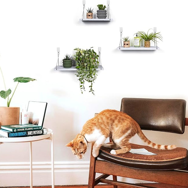 MITIME Floating Shelves Set of 3 Rustic Solid Wood Floating Shelf Wall Storage Shelves for Living Room, Bedroom, Bathroom, Kitchen Laundry, Office,no Drill Shelf(Grey and White Colour L+M+S)