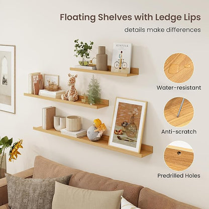 Axeman Picture Ledge Shelf | 16 Inch Oak Floating Shelves Set of 3 | Rustic Wood Wall Shelves with Lip | 16" Oak Picture Shelf for Wall with Ledge | Photo Shelves