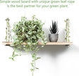 MITIME Leaf Rope Hanging Floating Shelves, Wall Swing Storage Shelf for Home Decor.17, 3-Pack (Light Color)