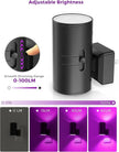 L LOHAS LED Purple Night Light, Purple Lights, Night Lights Plug into Wall with Light Sensor, 0-100LM Dimmable Night Lights Decorative for Christmas Halloween Holiday, Home Decor, Party Decor, 2 Pack