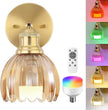 VOLISUN Vintage Battery Operated Wall Sconce,with Amber Tulip Glass Lampshade, Wireless Wall Sconce, Rechargeable Battery Powered Wall Light, Sconce Wall Decor for Bedroom Living Room