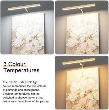 Plug in Picture Lights for Wall, 16 inch Dimmable LED Art Light with Remote, 3 Colour Temperature Gallery Painting Wall Light for Picture Display Dartboard Art Work (Gold)