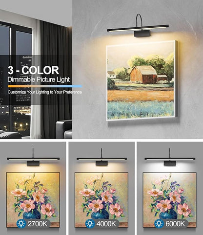 Battery Operated Picture Light with Remote, 24 inch Wireless Rechargeable Art Light with Timer, Dimmable 3CCT Gallery Lighting for Paintings, Portraits, and Canvas (Black)