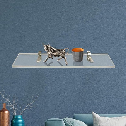 Clear Acrylic Shelves for Wall Storage, 6" W X 24" L, 3/4" Thick Wall Mounted Floating Shelves for Bedroom, Living Room, Bathroom,-‎Easy Installation with Screws and Brushed Nickel Brackets