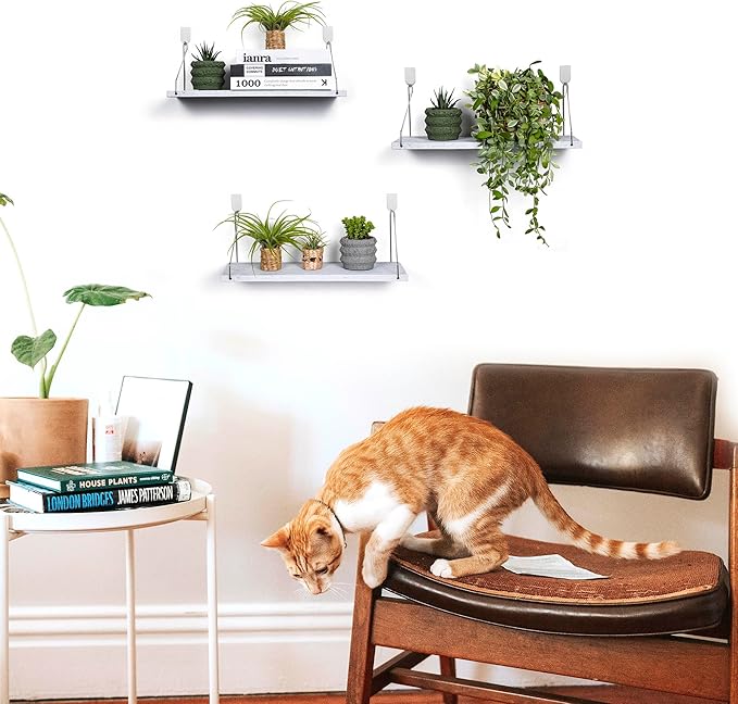 MITIME Floating Shelves Set of 3 Rustic Solid Wood Floating Shelf Wall Storage Shelves for Living Room, Bedroom, Bathroom, Kitchen Laundry, Office,no Drill Shelf(Grey and White Colour L+L+L)