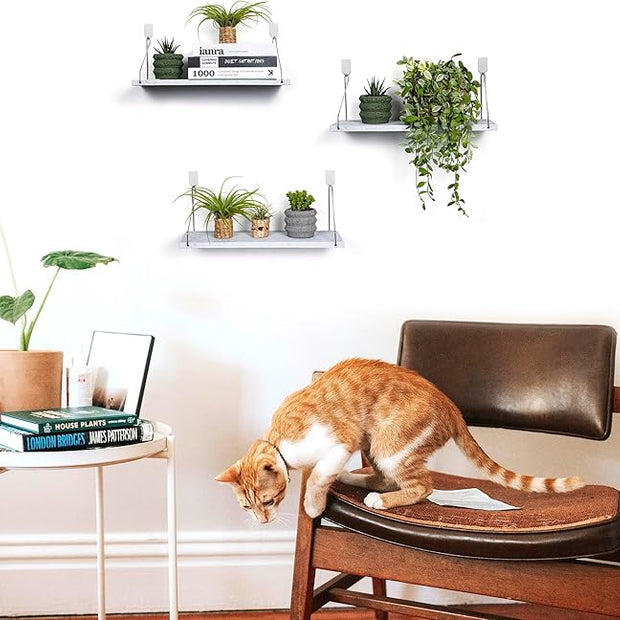 MITIME Floating Shelves Set of 3 Rustic Solid Wood Floating Shelf Wall Storage Shelves for Living Room, Bedroom, Bathroom, Kitchen Laundry, Office,no Drill Shelf(Grey and White Colour L+L+L)