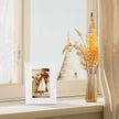 Vittanly 5x7 Picture Frame Set of 4, Display Pictures 4x6 with Mat or 5x7 without Mat, Engineered Wood with Shatter Resistant Plexiglass, Small Photo Frames for Wall or Tabletop Display, White