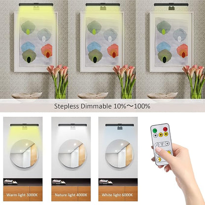 Rechargeable Picture Lights with Remote, Battery Operated LED Painting Light, Dimmable/Timer Off Dartboard, 13 Inch Full Metal Art Display Light for Picture Artwork Gallery