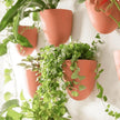Make Good PlantPod Luxe Self-Watering Wall Planters (Set of 3, Terracotta) - Easy to Water and Install - Lightweight - Design Your Own Vertical Garden - Wall Planters for Indoor Plants