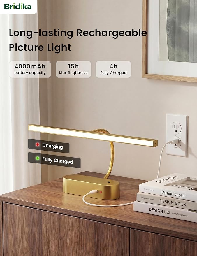 Rechargeable Picture Lights for Wall, Battery Operated Wall Light with Flexible Gooseneck, Wireless Art Lighting for Paintings & Portraits, Remote Control, 3 Colors Dimmable, Timer (Gold, 1 Pack)