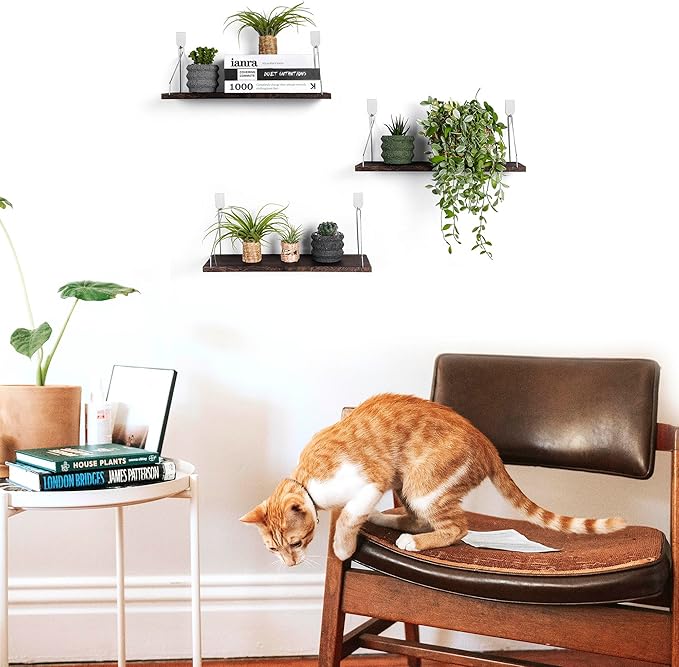 MITIME Floating Shelves Set of 3 Rustic Solid Wood Floating Shelf Wall Storage Shelves for Living Room, Bedroom, Bathroom, Kitchen Laundry, Office.no Drill Shelf(Retro Color L+L+L)