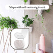 Make Good PlantPod Luxe Self-Watering Wall Planters (Set of 3) - Easy to Water and Install - Lightweight - Design Your Own Vertical Garden - Wall Planters for Indoor Plants