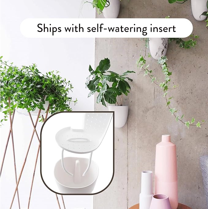 Make Good PlantPod Luxe - Self-Watering Wall Planters (Set of 6) - Easy to Water and Install - Lightweight - Design Your Own Vertical Garden - Wall Planters for Indoor Plants