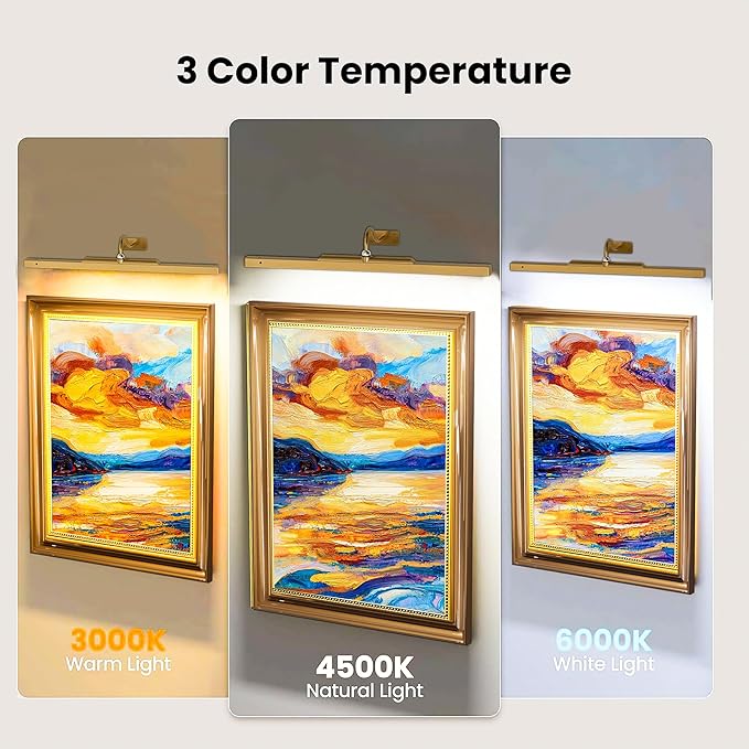 24 Inch Picture Light for Wall - Brass Battery Operated Wireless Wall Sconce with Remote & Timer for Artwork, Portrait, Photo & Frame