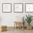 puthiac 8x8 Solid Oak Wood Picture Frame, Fits 4x4 with Mat or 8x8 Without Mat, Wall or Tabletop Display with Stand, Plexi Front, 3 Pack, Walnut