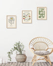 Framed Matisse Canvas Wall Art for Bedroom,Abstract Matisse Canvas Wall Decor,Minimalist Classic Decor Aesthetic,16x12IN Wood High Framed Design Posters for Living Room,Bathroom Set of 3