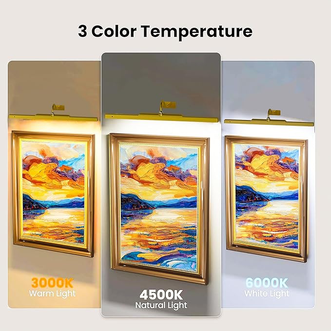 24 Inch Battery Powered Picture Light - Gold Wireless Wall Sconce with Remote & Timer for Photos, Paintings, Art & Home Gallery