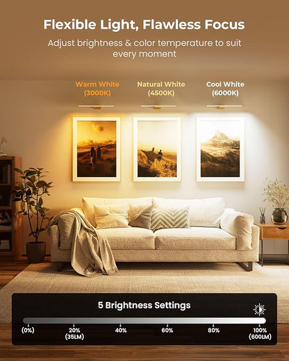 Picture Light for Wall with Remote, Picture Lights Battery Operated Rechargeable 12000mAh, 3 Colors & 3 Timers, Brightness Dimmable for Gallery Poster Frame Painting Photo Art Display (Gold, 1 Pack)
