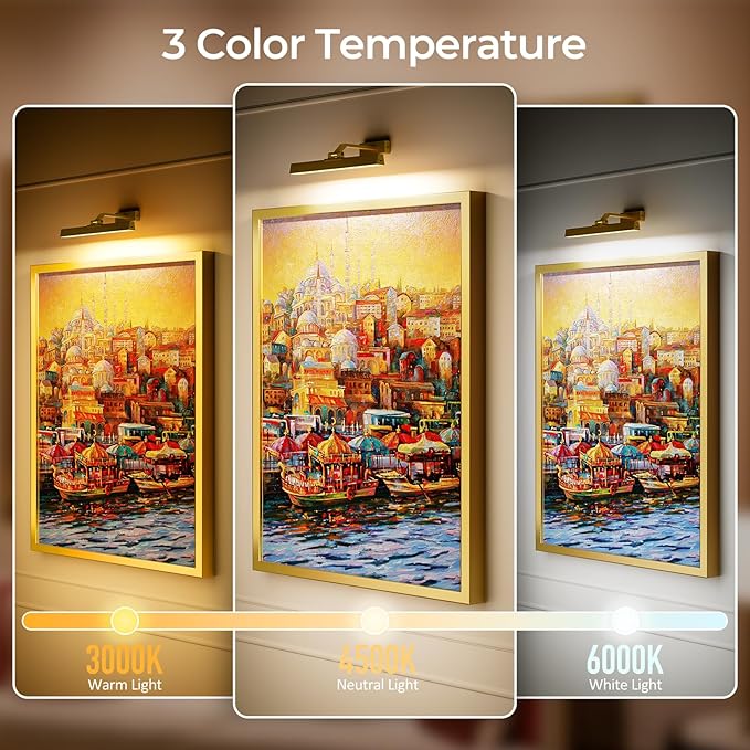 Picture Lights for Wall, Battery Operated Picture Light 16in Art Light CCT Dimmable Recharging Battery Wall Light with Remote Control for Living Room Gallery Gold 2PCS