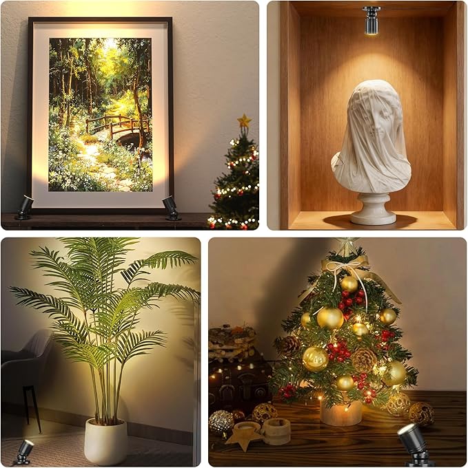 Mini LED Spotlight with Remote Control, Dimmable Small Spot Lights Indoor Plug in, Wired Spotlights for Displays Art Model Plant Picture (Warm White-2 Lights in 1 Plug)