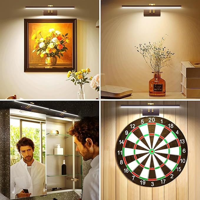 Picture Light,5000mAh Rechargeabl Art Lights for Paintings,Remote 16" Display Accent Lighting with Timer and Dimmable for Wall,Frame,Portrait-Black