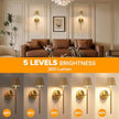 LUTEC Cordless Wall Sconces Set of 2, 5200mAh Wireless Rechargeable Battery Operated LED Wall Lamps, 3 Color Stepless Dimming Portables Lightings for Wall Painting/Living Room/Bedroom/Hallway Decor