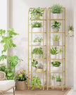 Bookcase Bookshelf, Tempered Glass Arched Bookshelf for More Storage, Slim Shelving Unit for Bedroom, Bathroom, Home Office, Steel Frame, 6 Tier Gold BC20699G