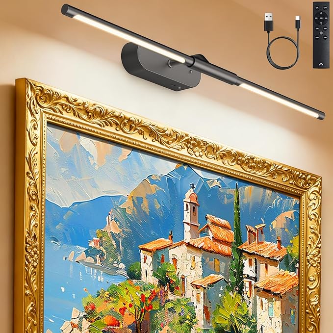 Glendan Wireless Picture Light for Wall: 24