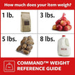 Command Picture Ledge, 21