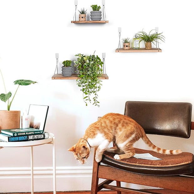 MITIME Floating Shelves Set of 3 Rustic Solid Wood Floating Shelf Wall Storage Shelves for Living Room, Bedroom, Bathroom, Kitchen Laundry, Office,no Drill Shelf (Light Color L+M+S)