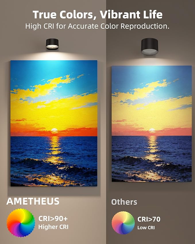 Picture Lights for Wall, 2000mAh Rechargeable Magnetic Art Lights with 3 Color Temps & RGB, Remote Dimmable Battery Operated Wall Light for Bedroom, Living Room, Gallery (Black, 6 Pack)