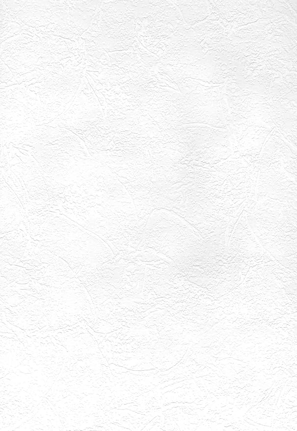 Brewster 497-67473 Sante Fe Slap Trowel Plaster Wallpaper, Paintable