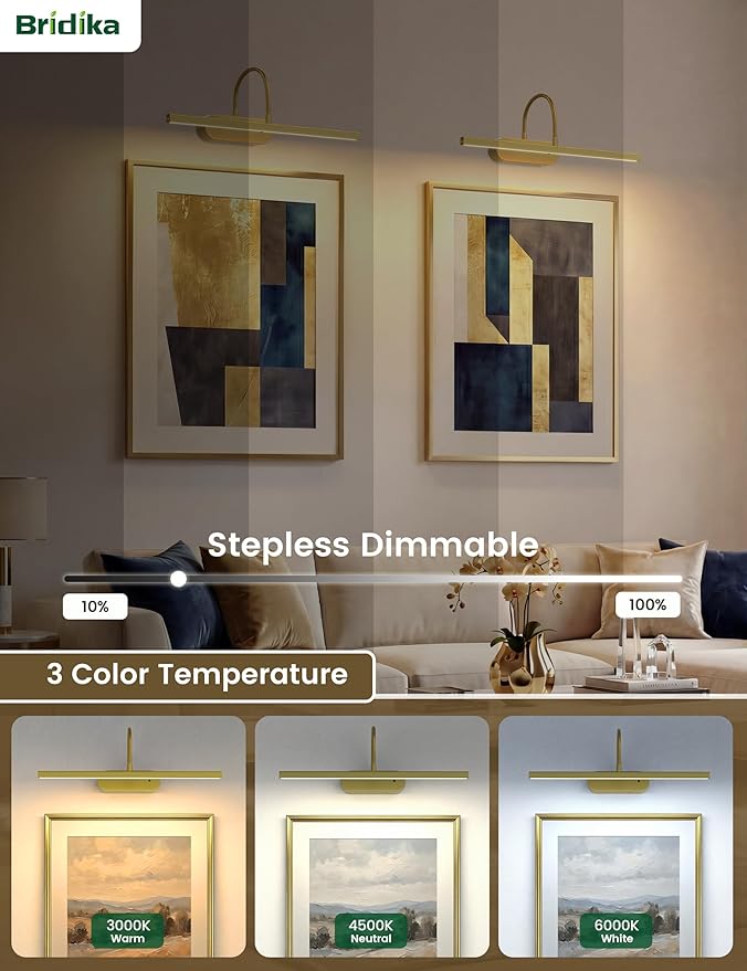 Rechargeable Picture Lights for Wall, Battery Operated Wall Light with Flexible Gooseneck, Wireless Art Lighting for Paintings & Portraits, Remote Control, 3 Colors Dimmable, Timer (Gold, 1 Pack)
