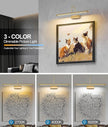 Battery Operated Picture Light with Remote, 24 inch Wireless Rechargeable Art Light with Timer, Dimmable 3CCT Gallery Lighting for Paintings, Portraits, and Canvas (Brass, 23.6inch)