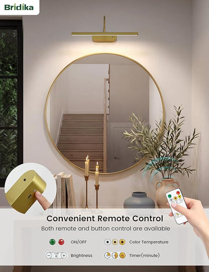 Rechargeable Picture Lights for Wall, Battery Operated Wall Light with Flexible Gooseneck, Wireless Art Lighting for Paintings & Portraits, Remote Control, 3 Colors Dimmable, Timer (Gold, 1 Pack)