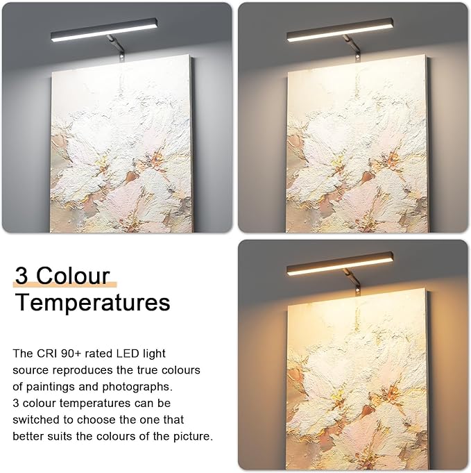 4W Plug in Picture Light for Paintings with Remote Control, 12" LED Art Display Lighting for Gallery, Dartboard, Artwork, Black Wall Mounted Picture Frame Light
