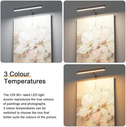 4W Plug in Picture Light for Paintings with Remote Control, 12" LED Art Display Lighting for Gallery, Dartboard, Artwork, Black Wall Mounted Picture Frame Light
