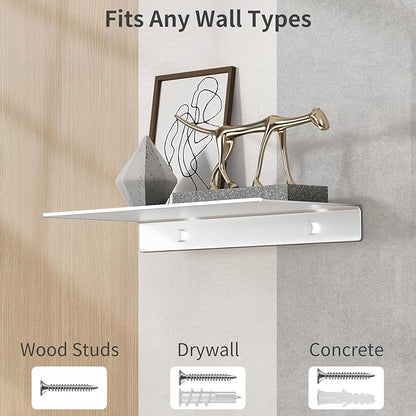 Danpoo Adhesive Floating Shelf for Wall Storage, Metal Wall Shelf for Bedroom/Living Room/Kitchen/Bathroom, Display Shelf for Collectibles(Silver, 12")