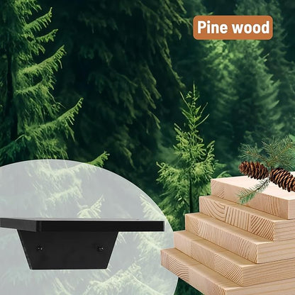 PHOENANCEE Small Floating Shelves,Speaker Shelf,Trapezoid Wall Shelf for Table Lamp Plants Display,Decorative Wood Ledges Chic for Living Room,Bedroom,Kitchen,Office,Pine,8x6 Inch,4 Pack(Black)