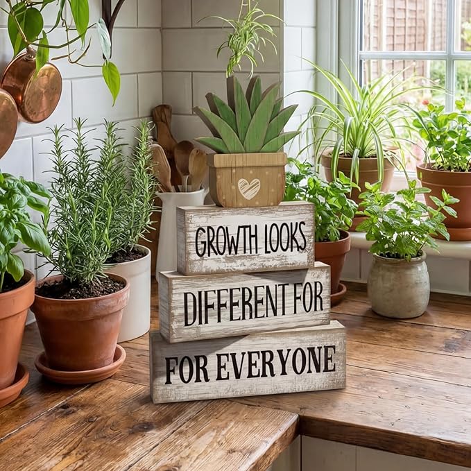 4 Pcs Inspirational Farmhouse Table Decor Growth Looks Different for Everyone Rustic Stacked Wooden Block Signs with Inspirational Quote Artificial Succulent for Home, Office, Shelf Gift