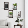 PHOENANCEE Square Floating Shelves,Wall Plants Holder,Bathroom Wall Decor,Framed Decorative Shelf Black,Modern Chic Set of 2 for Living Room Bedroom Home Office,Soild Wood,L+S(Walnut
