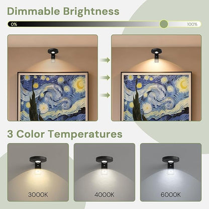 L LOHAS LED Black Wireless Picture Lights for Wall, 3 Pack Magnetic Rechargeable 1200mAh Battery Operated Picture Light with Remote & Timer, Dimmable 3CCT Art Light for Paintings, Frames, Gallery