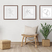 puthiac 10x10 Solid Oak Wood Picture Frame, Fits 6x6 with Mat or 10x10 Without Mat, Wall Display Only, Plexi Front, 1 Pack, Walnut